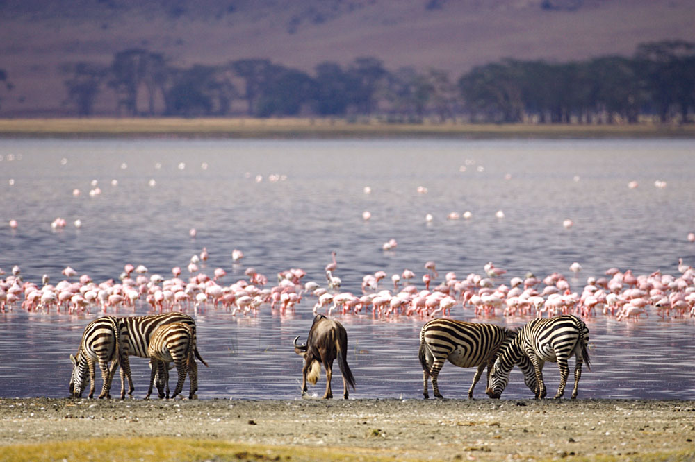 Attractions-in-Lake-Nakuru-National-Parksss.jpg