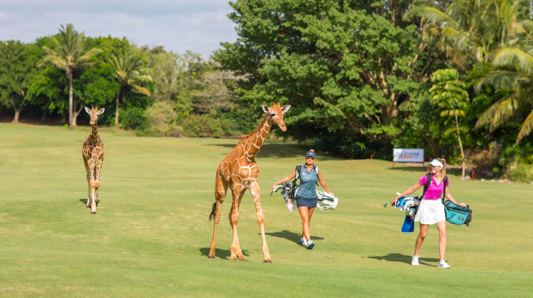 9 Day Kenya Golf Safari 