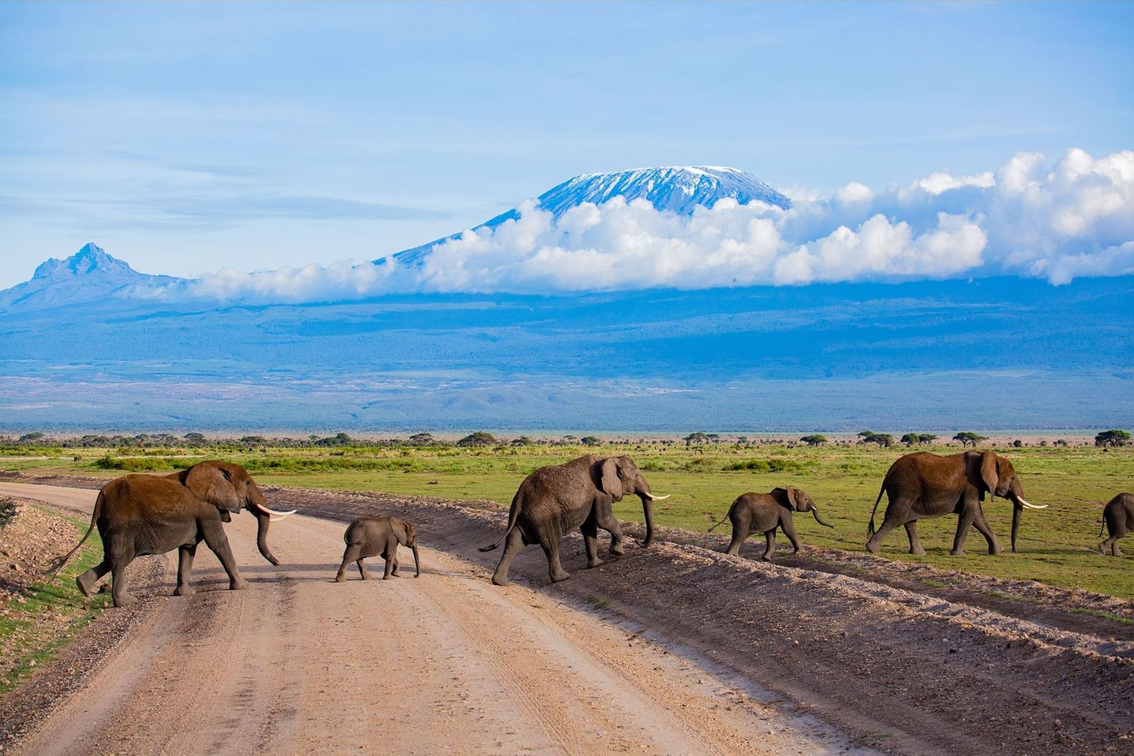 6 Days 5 Nights Masai Mara, Amboseli and Lake Nakuru